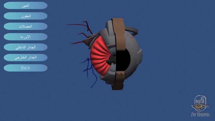 Dar El Oyoun Hospital