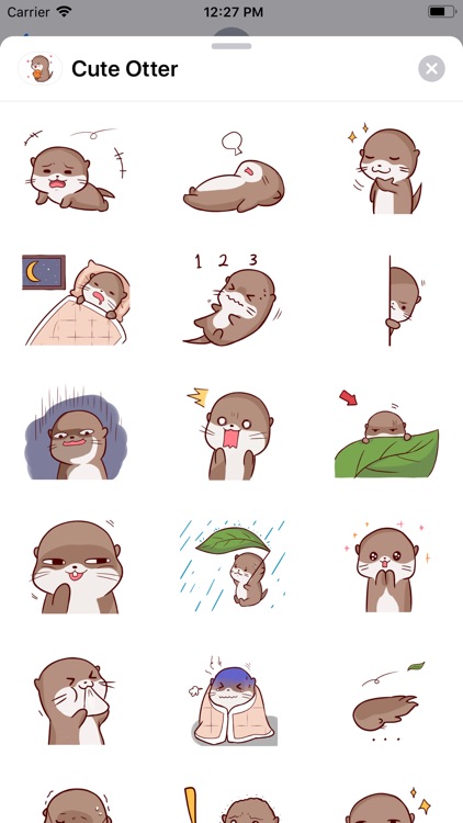 Cute Otter