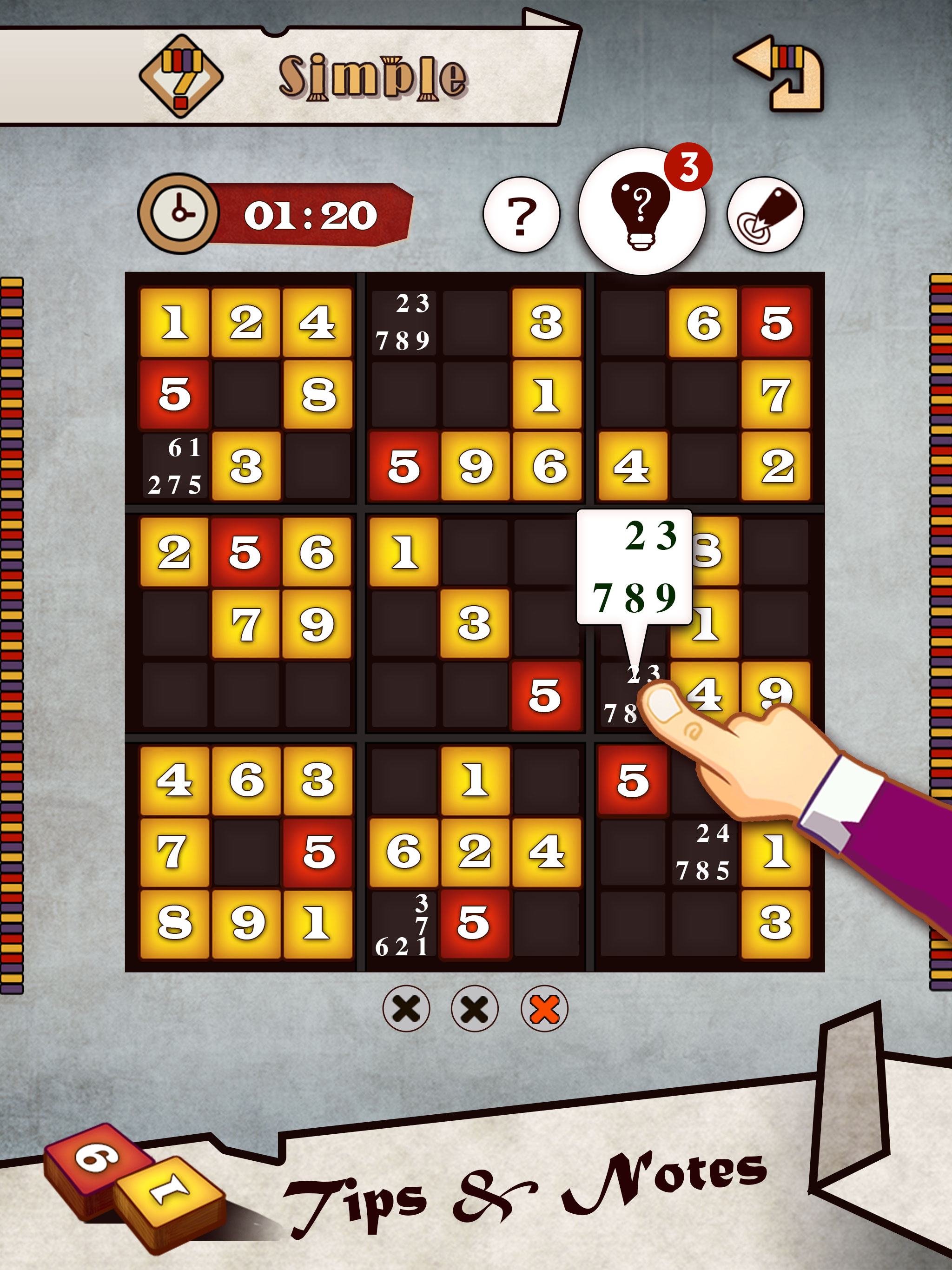 Sudoku Puzzle Pro.