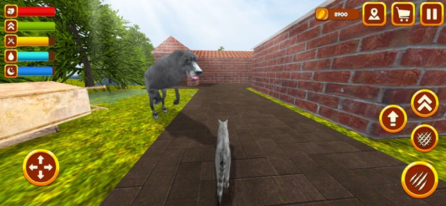 Hunting Cat Survival Simulator(圖4)-速報App