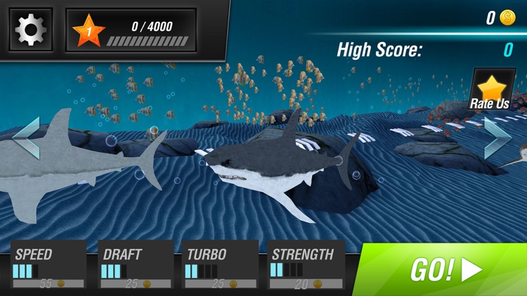 Sea Shark Adventure screenshot-3