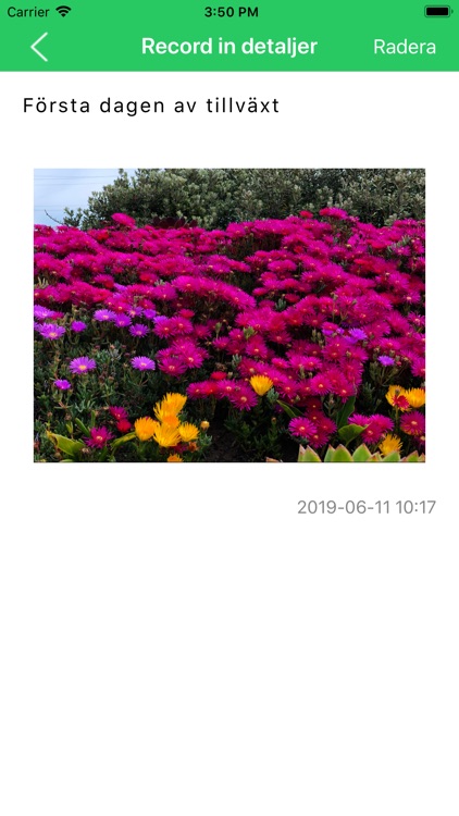 Blomrekord screenshot-4