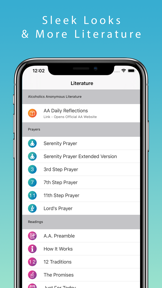 12 Steps Guide screenshot