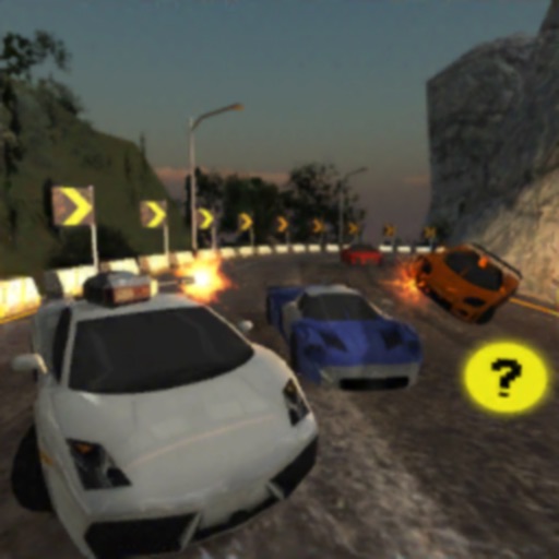 Real Car Race