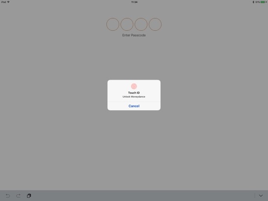 Moneydance iPad screenshot 4 - Finance app
