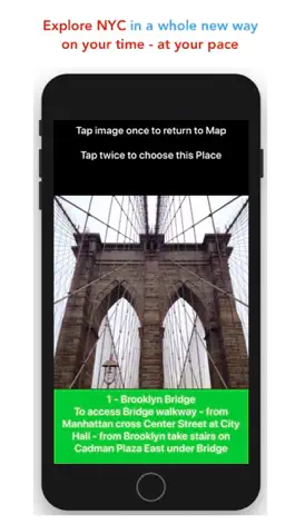 Game screenshot PlaceChase NYC BrooklynBound mod apk