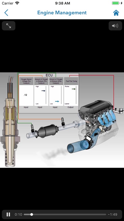 Bosch Car Service Geraldton screenshot-3