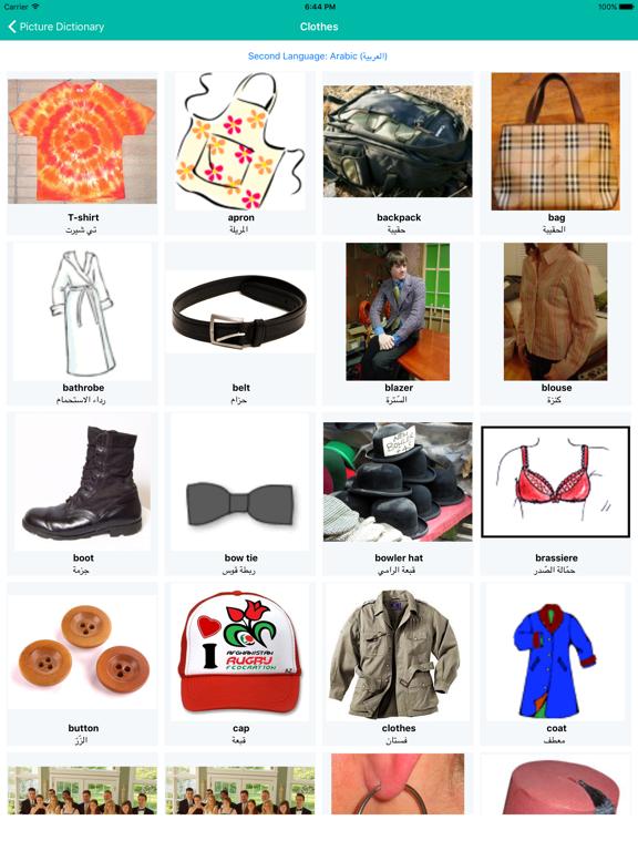 Screenshot #5 pour Dictionary with pictures