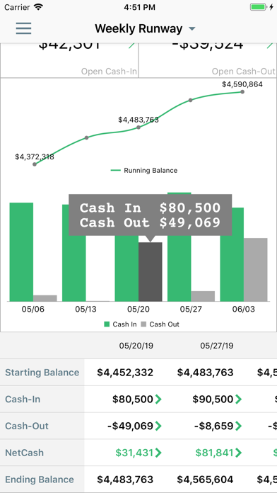 Screenshot #2 pour Cashvue
