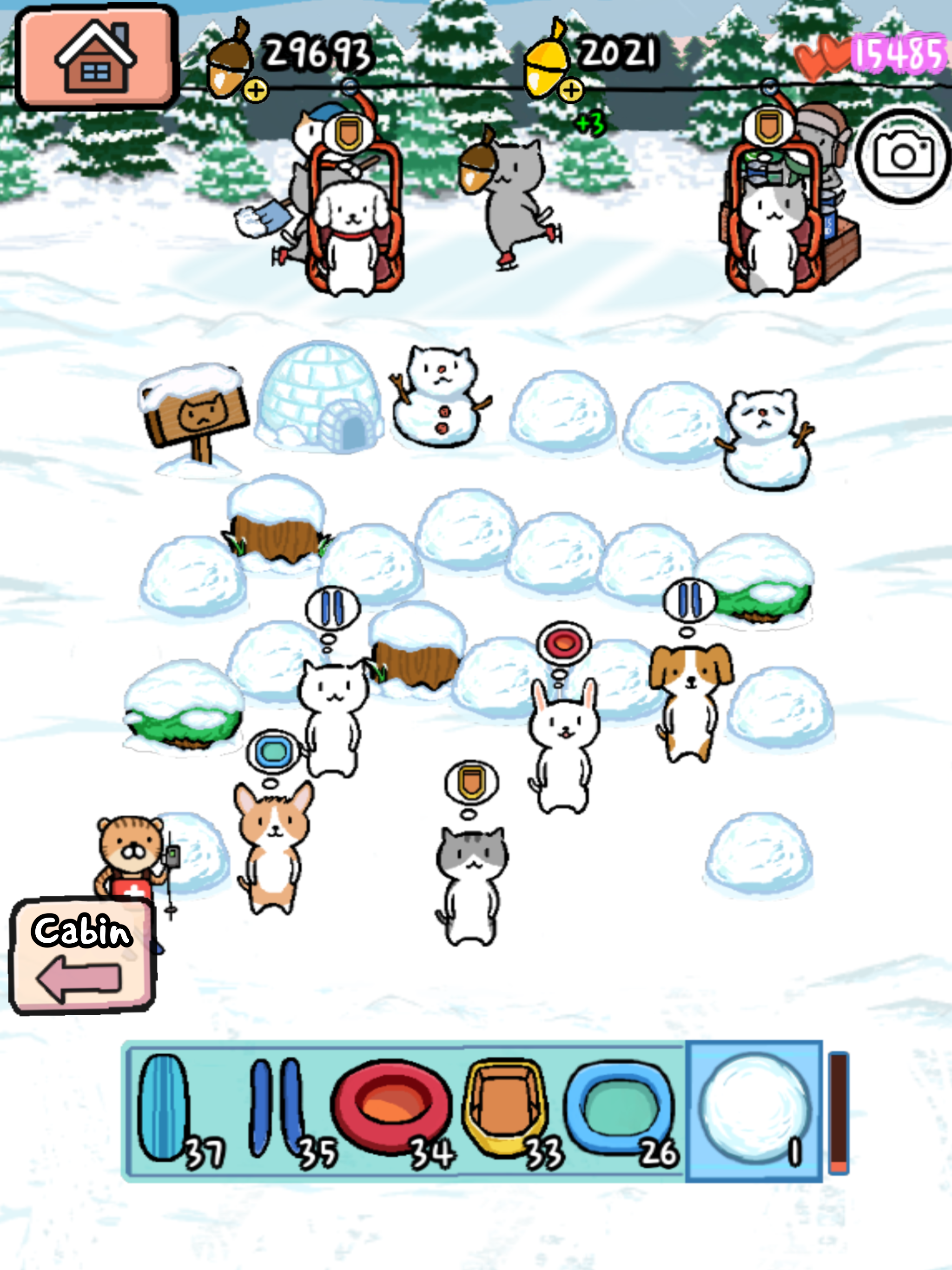 Animal Ski Resort