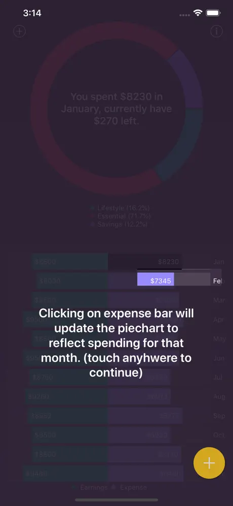 Budgetina