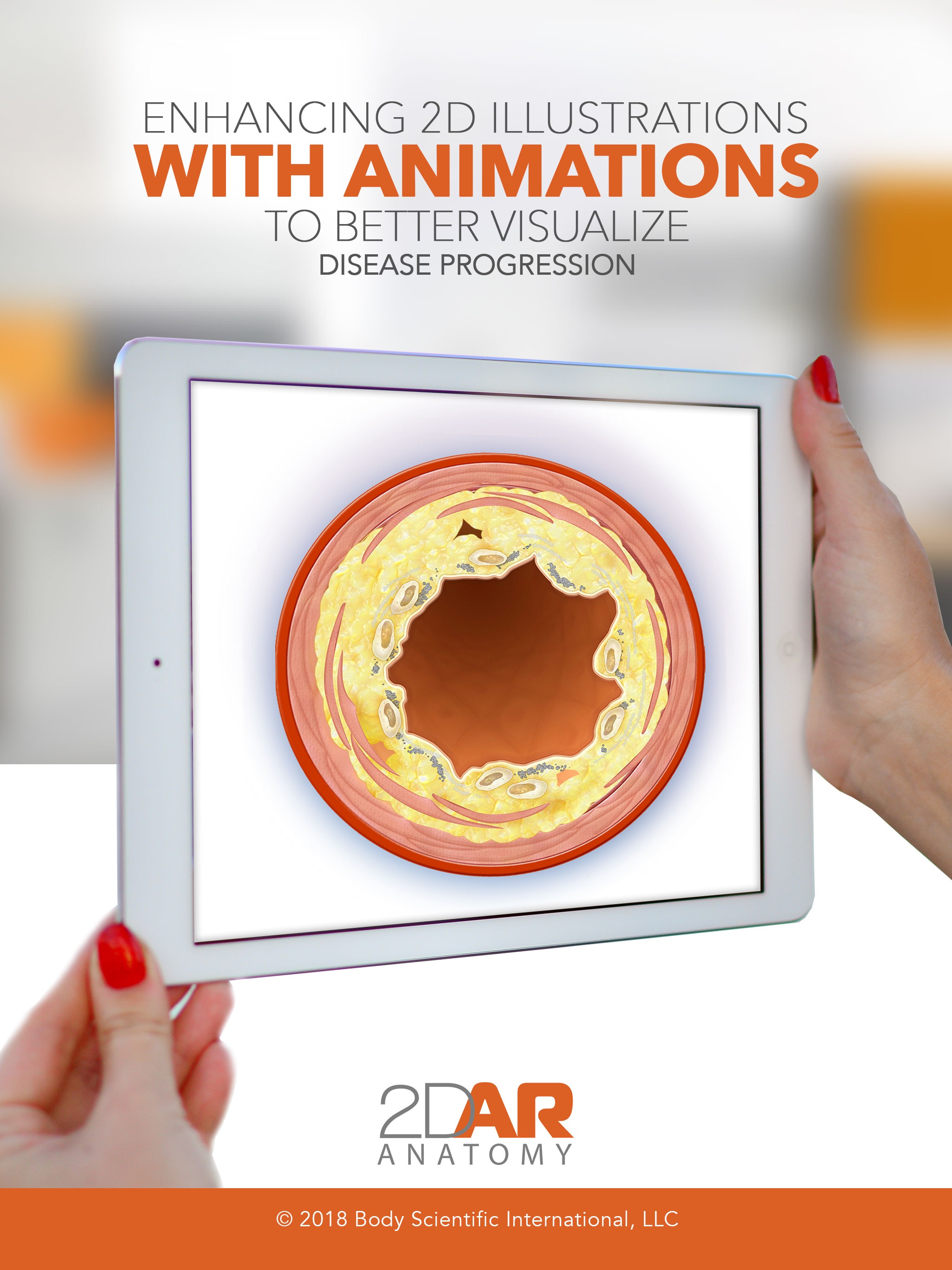 BSI AR ANATOMY screenshot 5