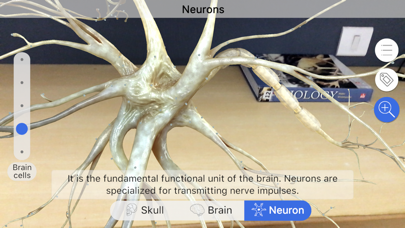 Brainapseのおすすめ画像4