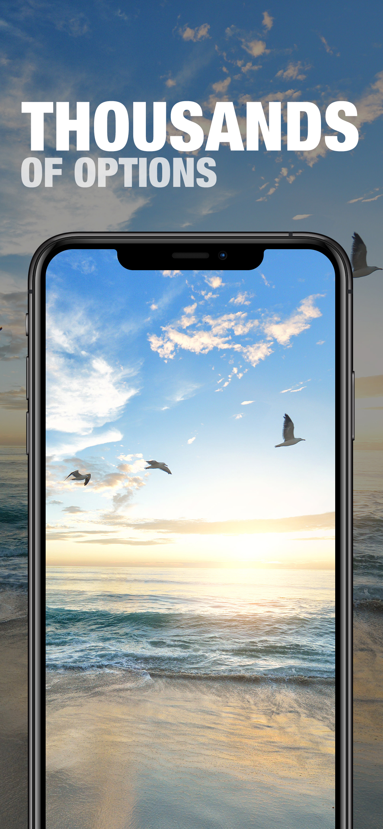Wallpaper of the Day