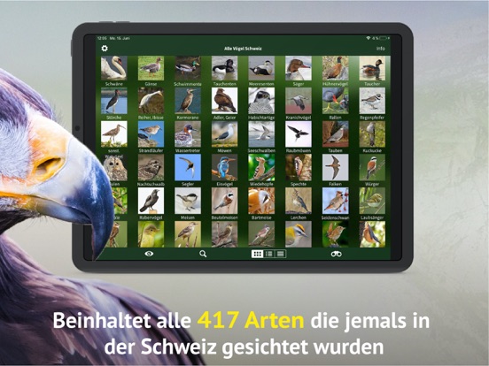 Screenshot #6 pour Alle Vögel Schweiz - Fotoguide