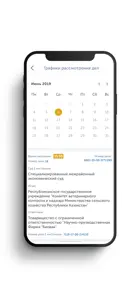 Судебный кабинет screenshot #4 for iPhone