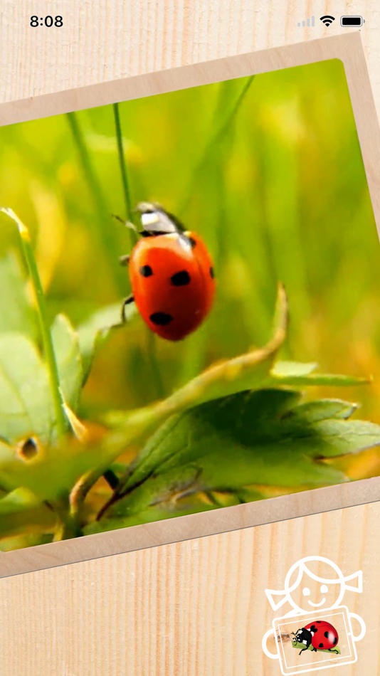 Rolf AR Life of the Ladybird - 1.1 - (iOS)