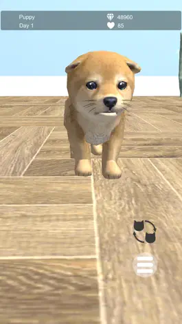 Game screenshot My Puppies hack