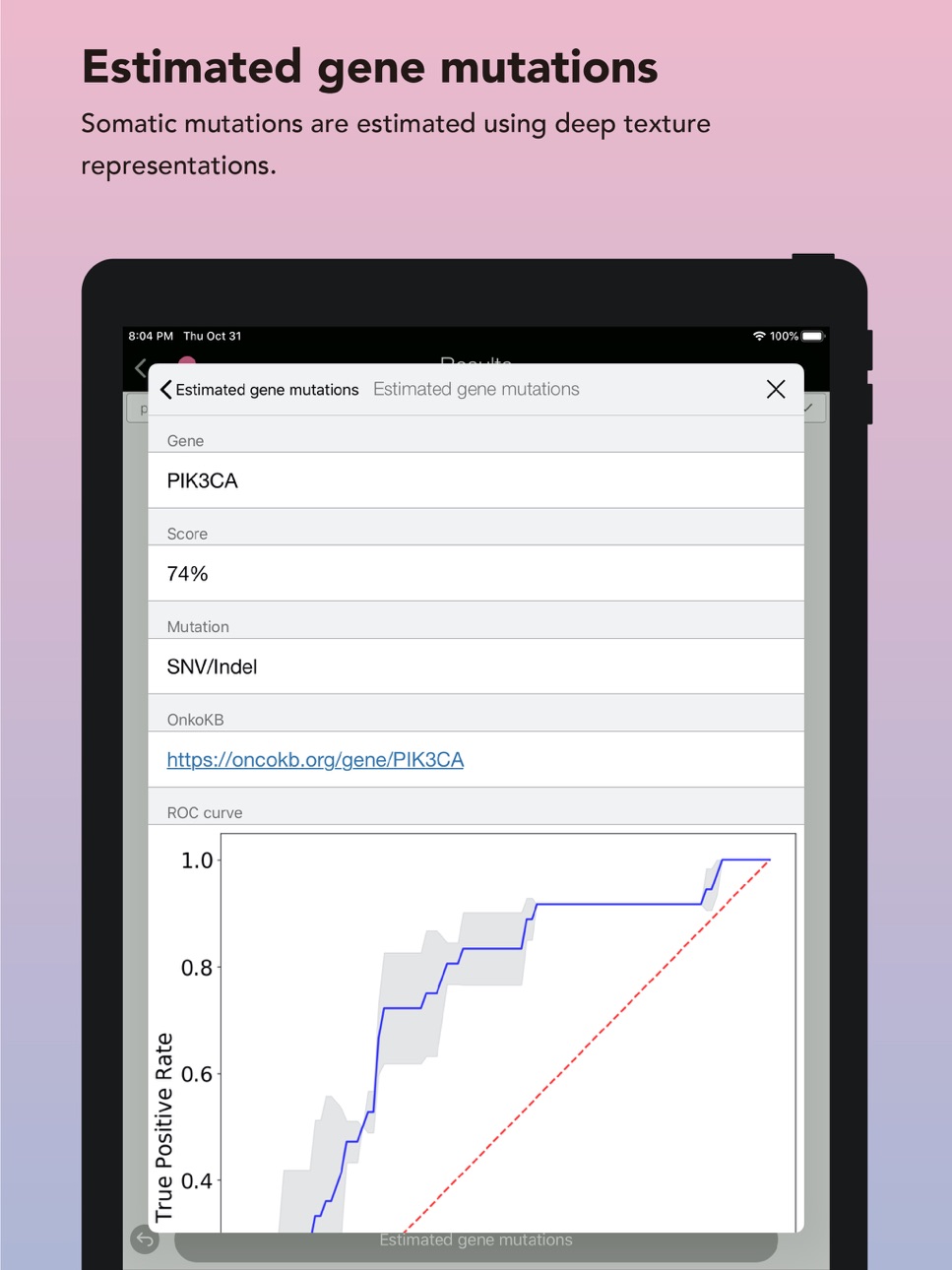 iPad screenshot