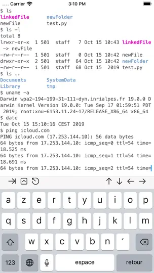Captura de pantalla de A-Shell en iPhone 1