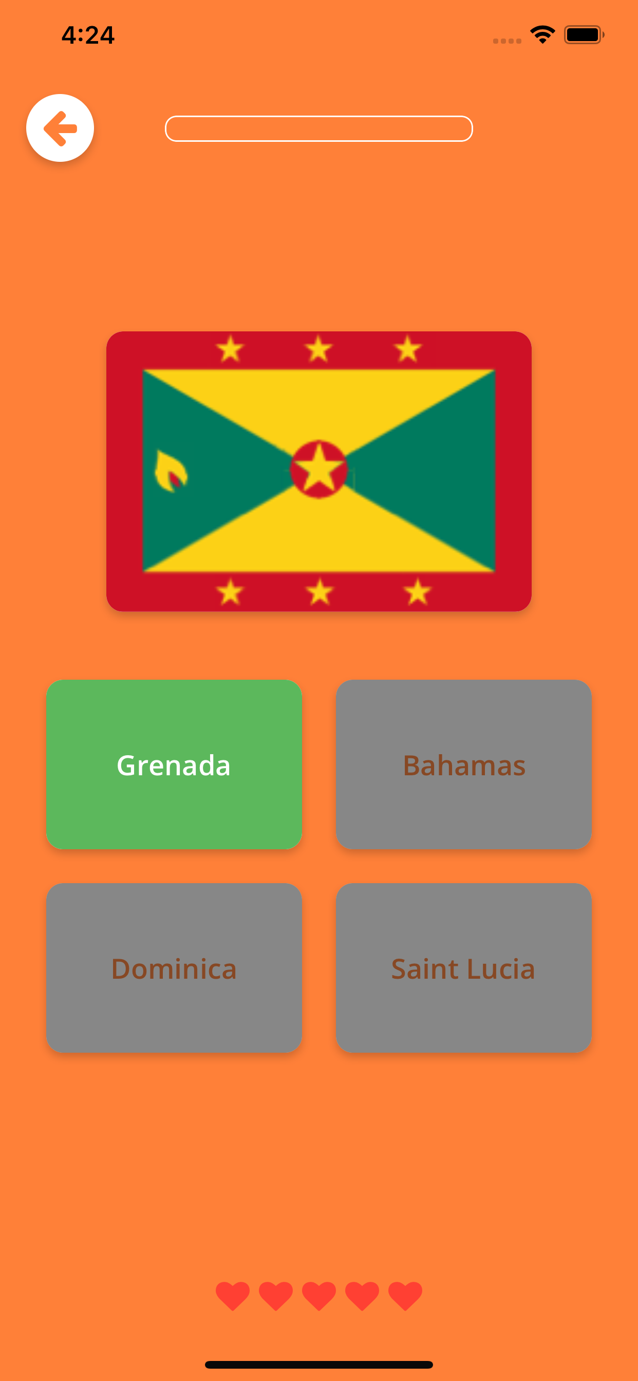 Flags 4 Fun screenshot 9