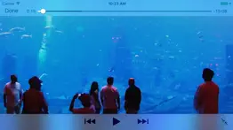 aquarium videos iphone screenshot 4