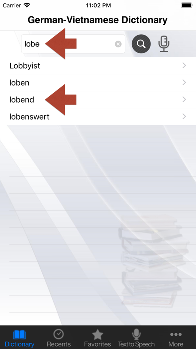 German-Vietnamese Dictionary Screenshot