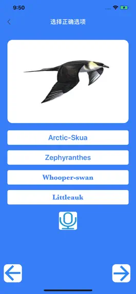 Game screenshot 鸟儿的名字 apk
