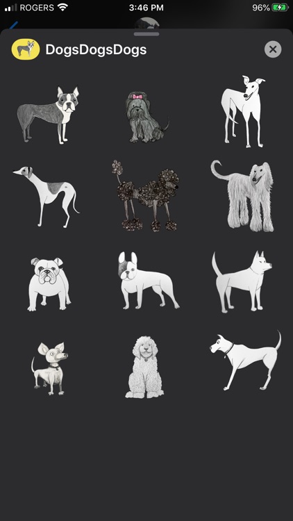 Dogs Dogs Dogs