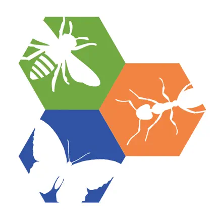 Philly Insects AR Cheats