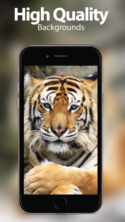 Animal Wallpapers & Themes
