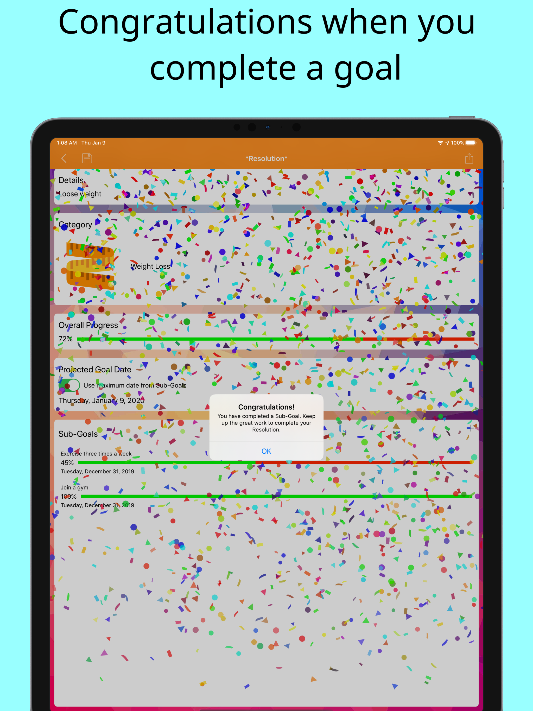 Yearly Resolutions screenshot 20