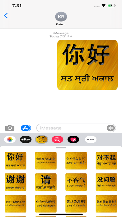 Chinese Punjabi screenshot 2