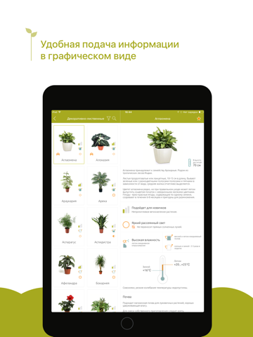 Скриншот из Комнатные растения