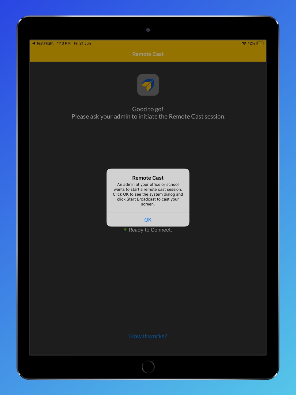 iPad screenshot