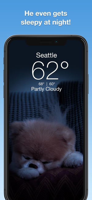 Boo Weather: Pomeranian Puppy(圖4)-速報App