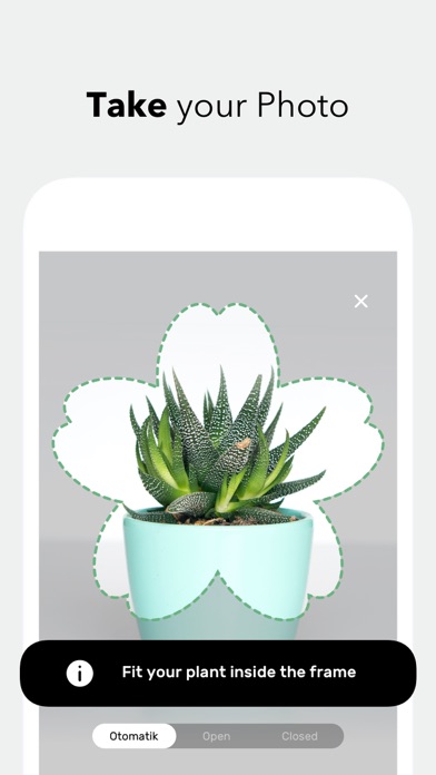 Botanis -Plant Identifier screenshot 4