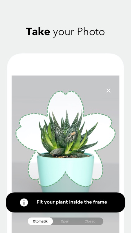 Botanis -Plant Identifier screenshot-3
