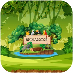 Animalotop
