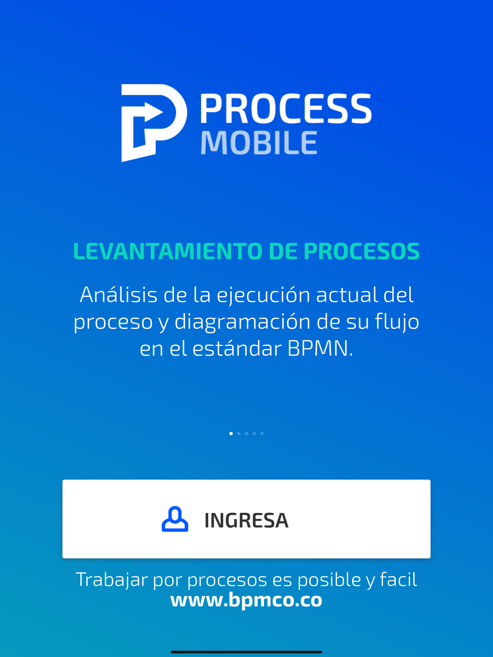 BPMCo Process