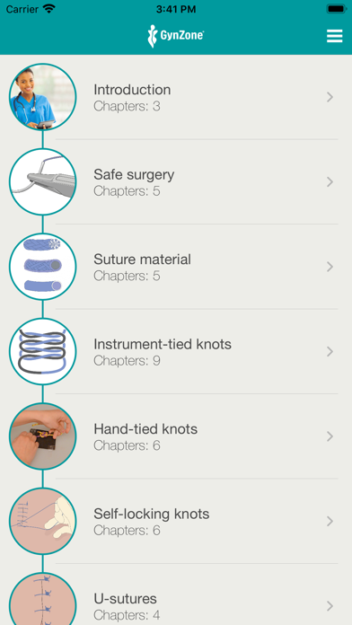Surgical Skills Screenshot