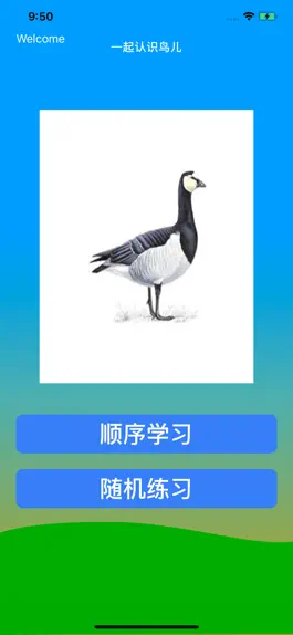 Game screenshot 鸟儿的名字 mod apk