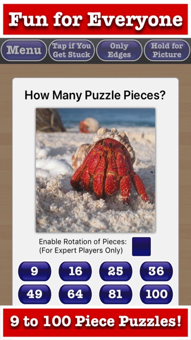 Stress Free Jigsaw Puzzles Screenshot