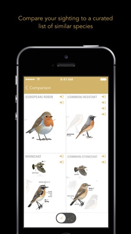 Collins British Bird Guideのおすすめ画像5