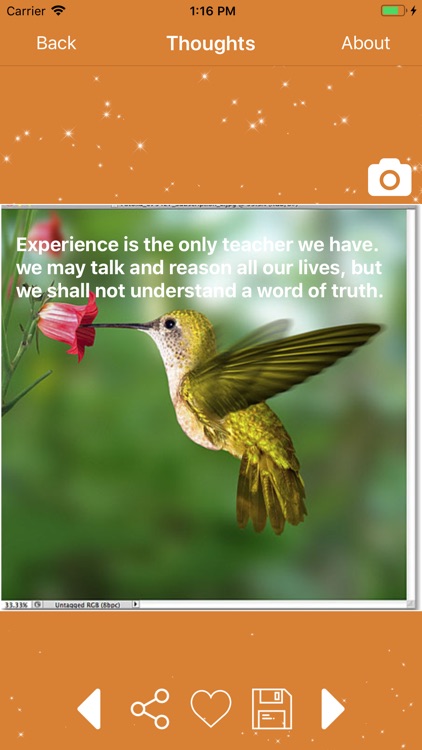 Swami Vivekananda Quotes App screenshot-4