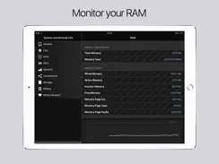 System & Network Info iPad image 2