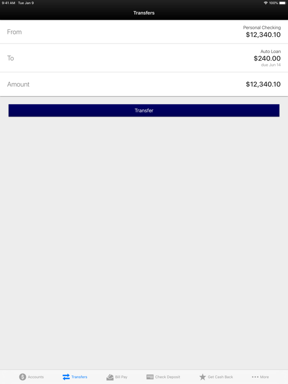 First Piedmont Mobile Banking iPad screenshot 4 - Finance app