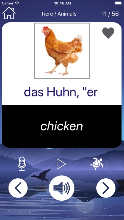 German Vocabulary & Phrase screenshot-3