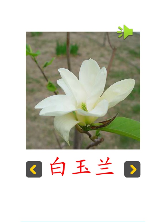 Screenshot #5 pour 认知卡认识植物