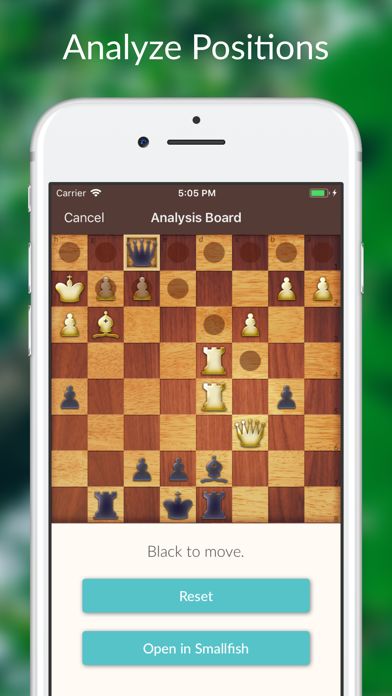 Chess Tactics and Lessons Screenshot